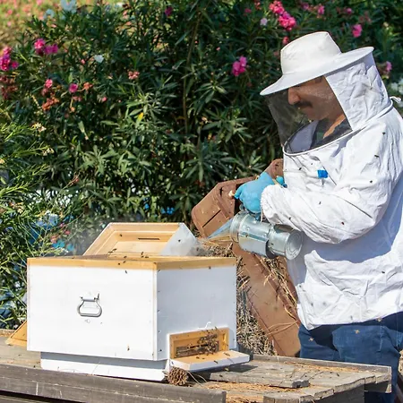 ホテル Labranda Lebedos Princess セェフェリヒサール