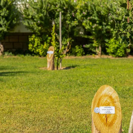 호텔 Labranda Lebedos Princess