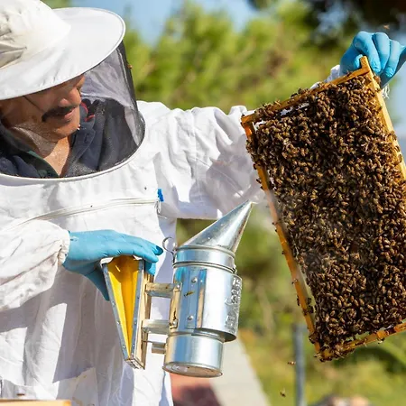 Labranda Lebedos Princess 호텔 세페리히사르