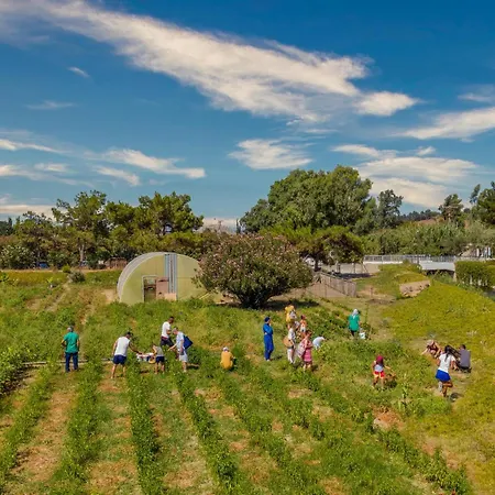 Labranda Lebedos Princess 호텔 세페리히사르